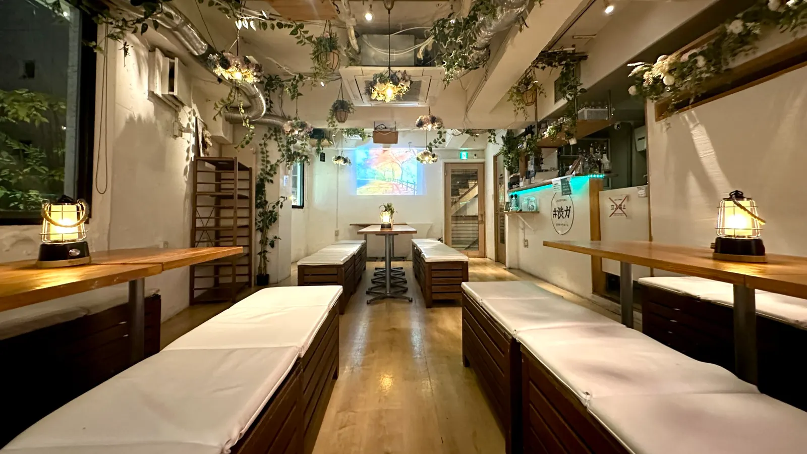BBQなび 渋谷ガーデンルーム3F夜写真