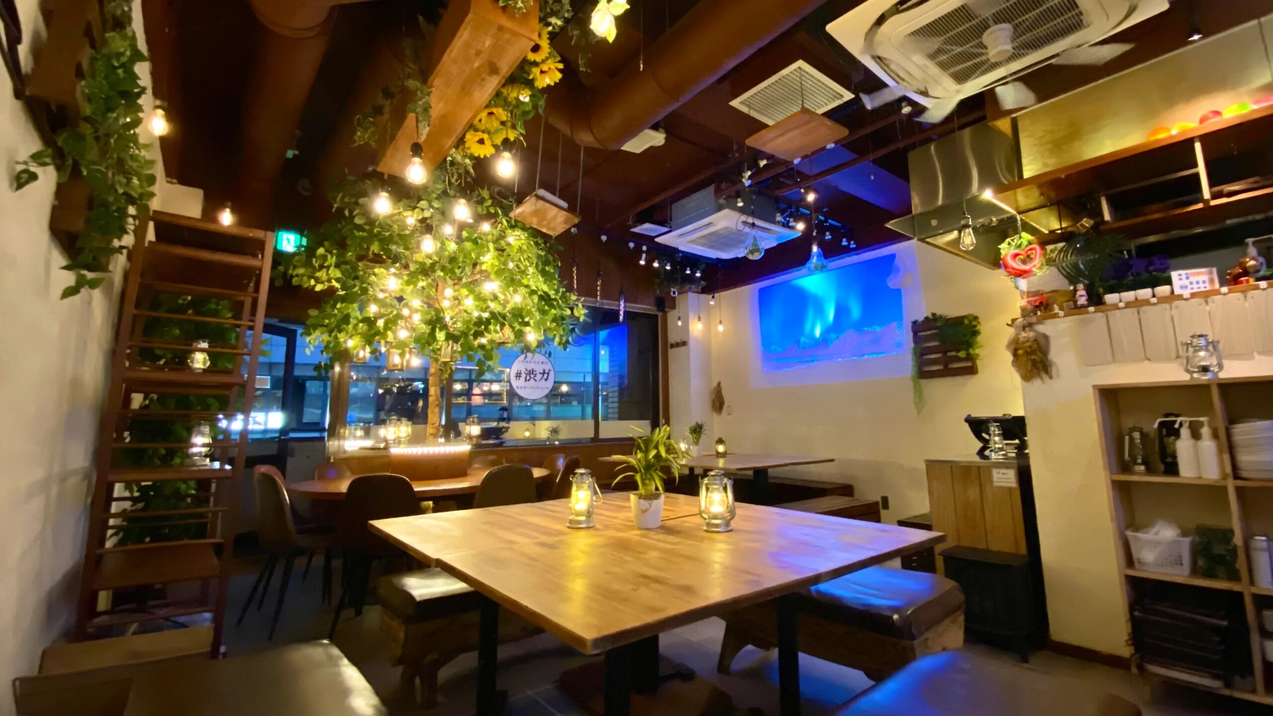 BBQなび「渋谷ガーデンスペース道玄坂店」夜写真